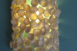 APPLIQUES 
