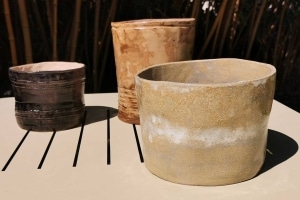 POTS